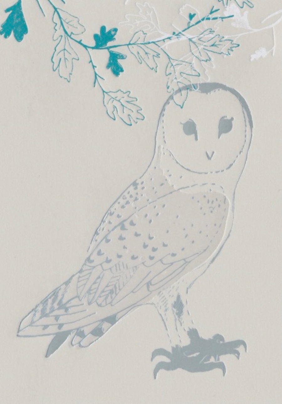 Barn Owl 