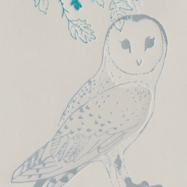 Barn Owl 