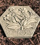 Stepping Stones, Insect Drinkers, Setof 5 - Image 5