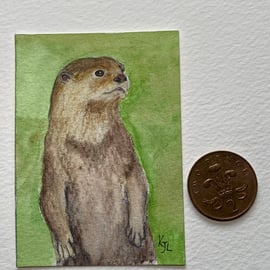 Watercolour of an Otter - ACEO - free UK postage 