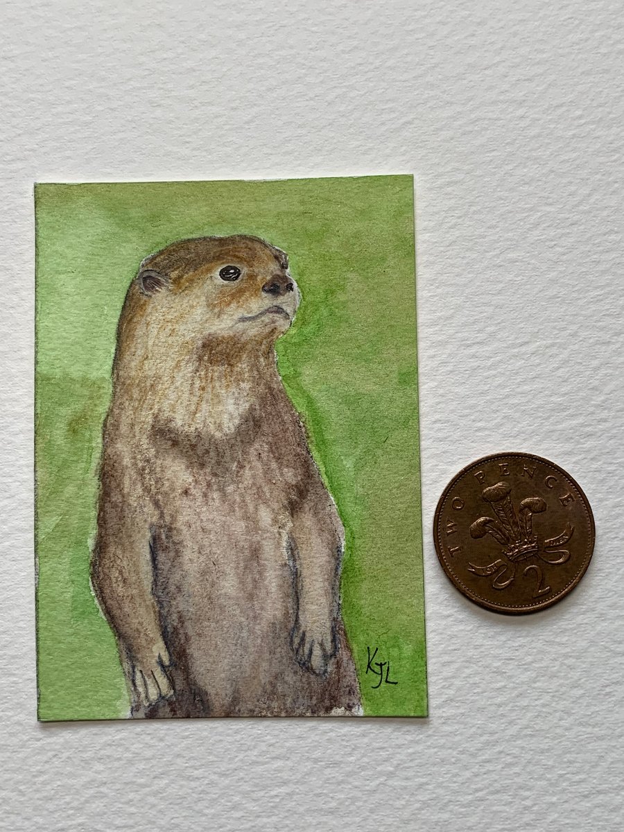 Watercolour of an Otter - ACEO - free UK postage 