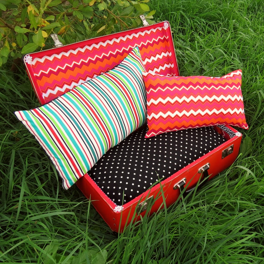 A quirky pet bed, made from a vintage 1960s suitcase.  Cat bed.  Small dog bed.