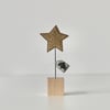 'Shine Bright' - Star with a Wire Stem and Wooden Block