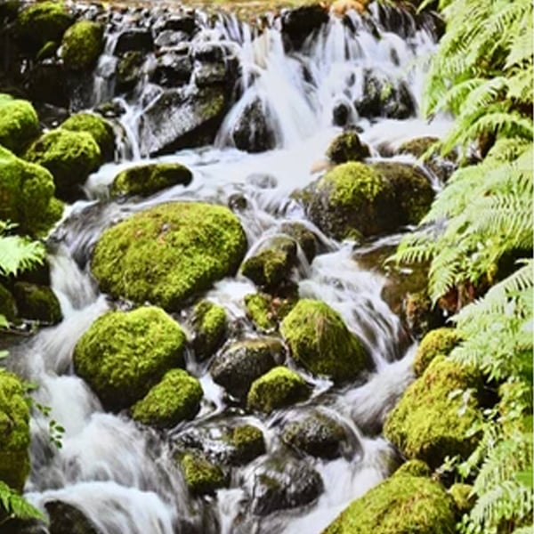 Greetings Card. A Waterfall and mossy river boulders. Eco Friendly.Blank for you
