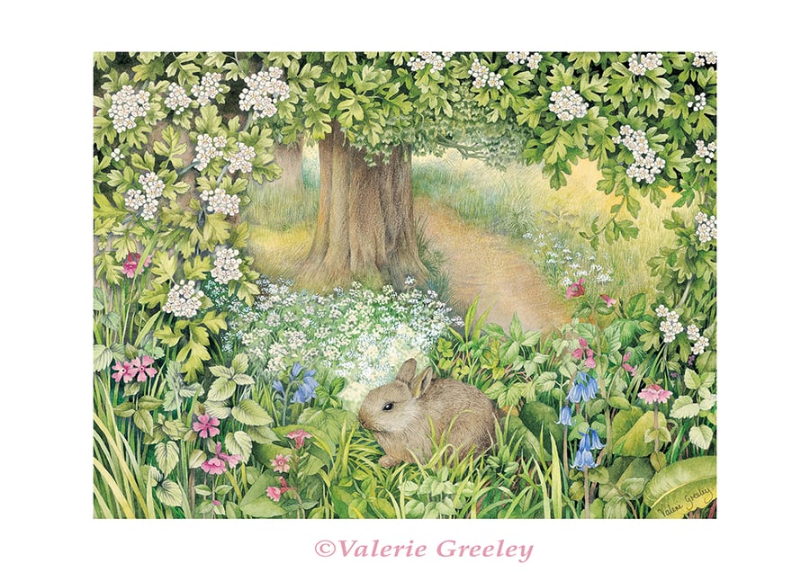 Rabbit in May print by Valerie Greeley