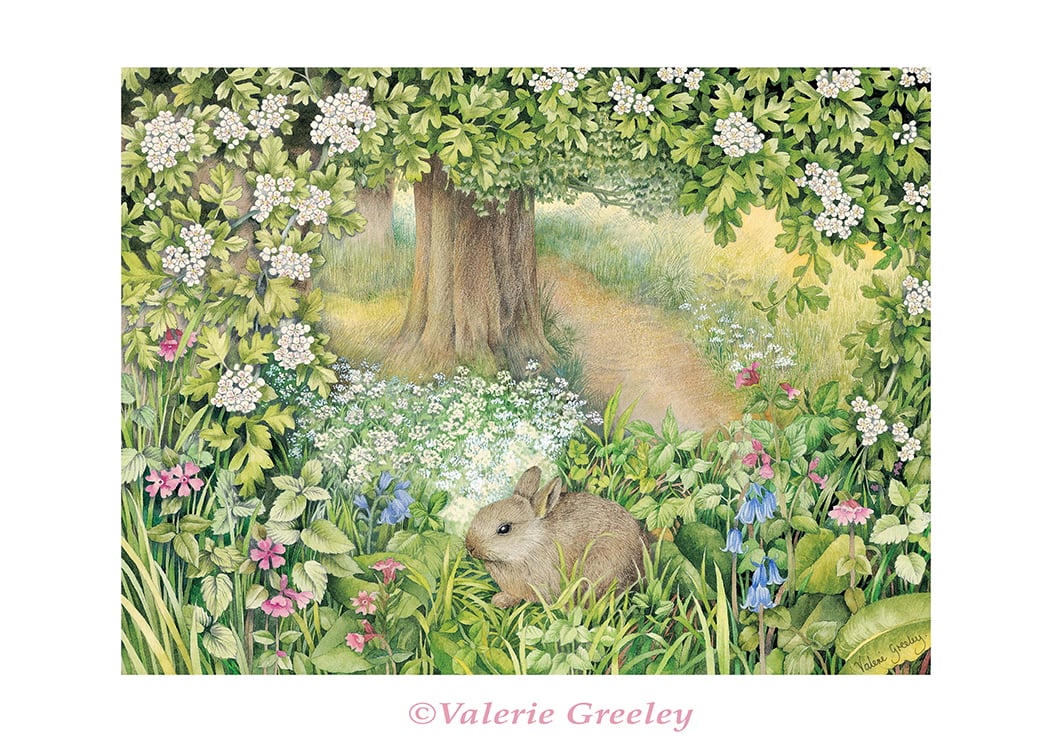Rabbit in May print by Valerie Greeley