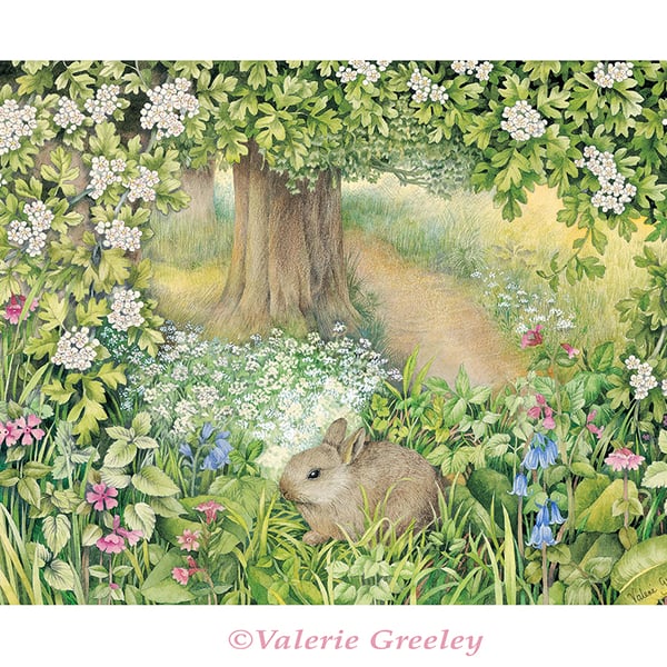 Rabbit in May print by Valerie Greeley