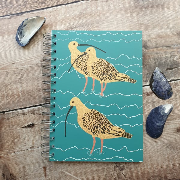 Curlews Notebook