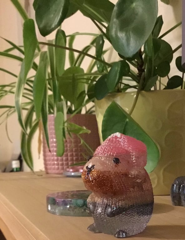 Cute pink hat resin and glitter capybara unique gift