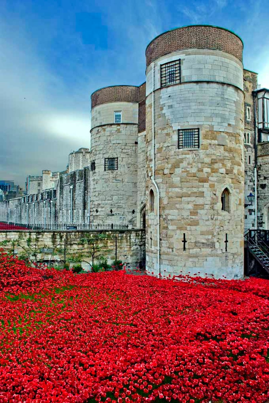 Tower of London Red Poppies England UK 12"x18" Print