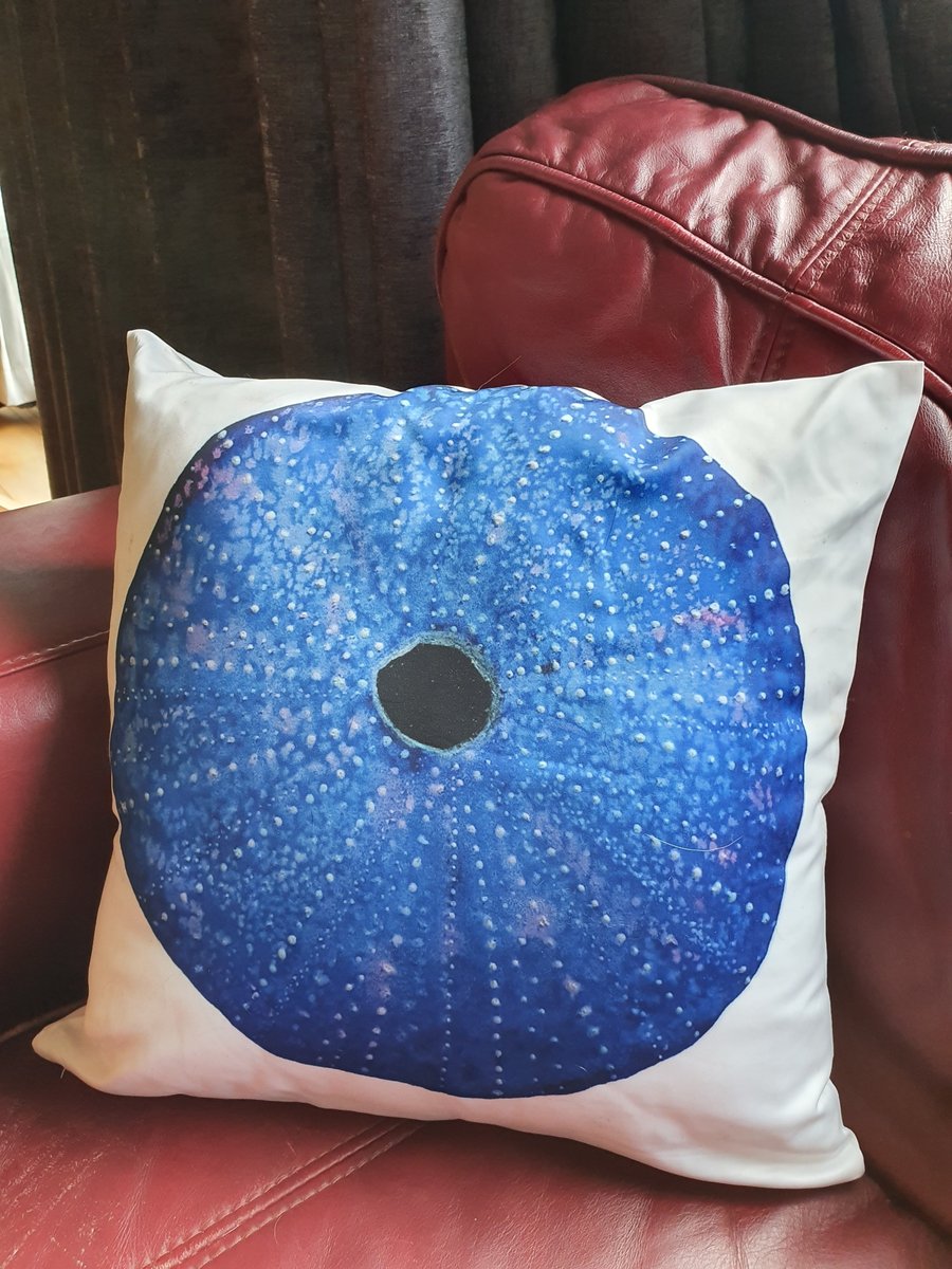 Sea Urchin Cushion