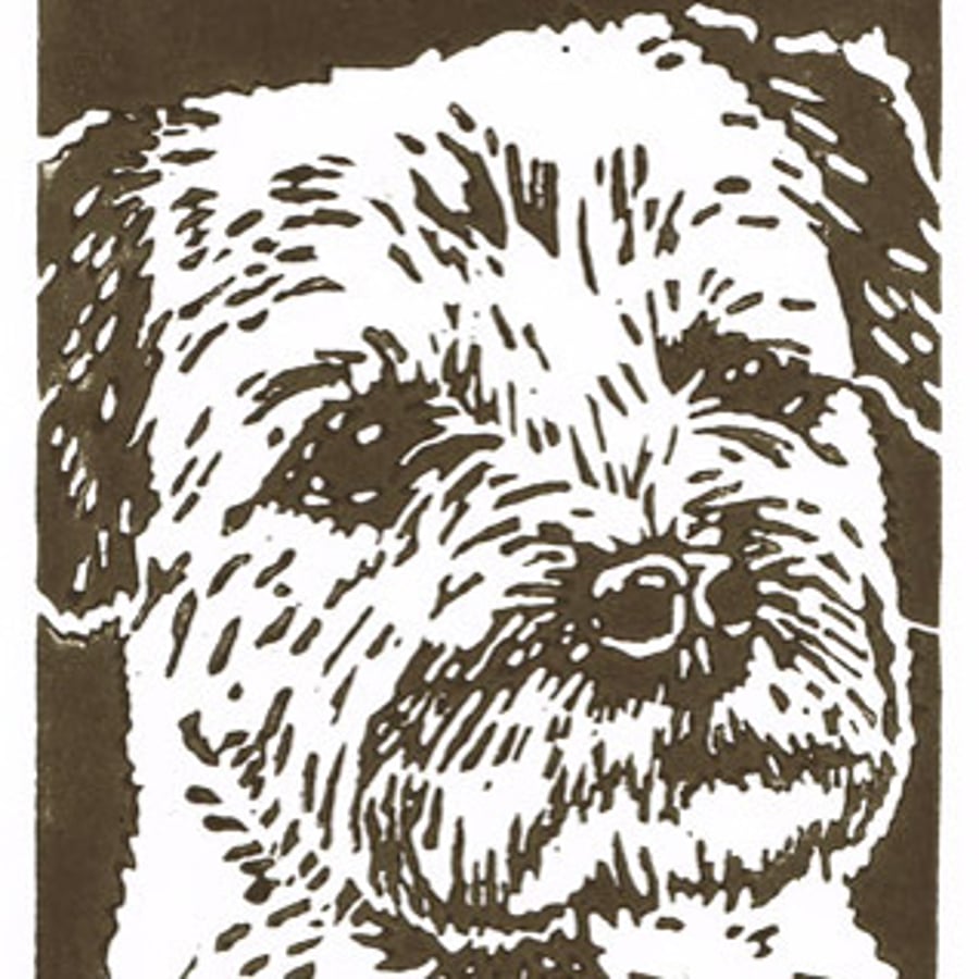 Border Terrier Dog - Original Hand Pulled Linocut Print