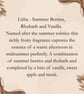 12 Summer Berries, Rhubarb & Vanilla Wax Melts - Gift Box - Fruity Scent - Image 4