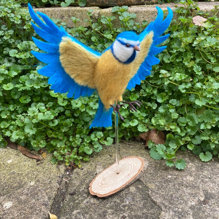  Needle felted Blue tit in flight, woollen bird sculpture model