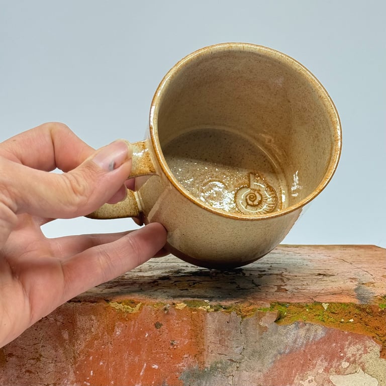 Fossil coffee mug (Fossil inside)