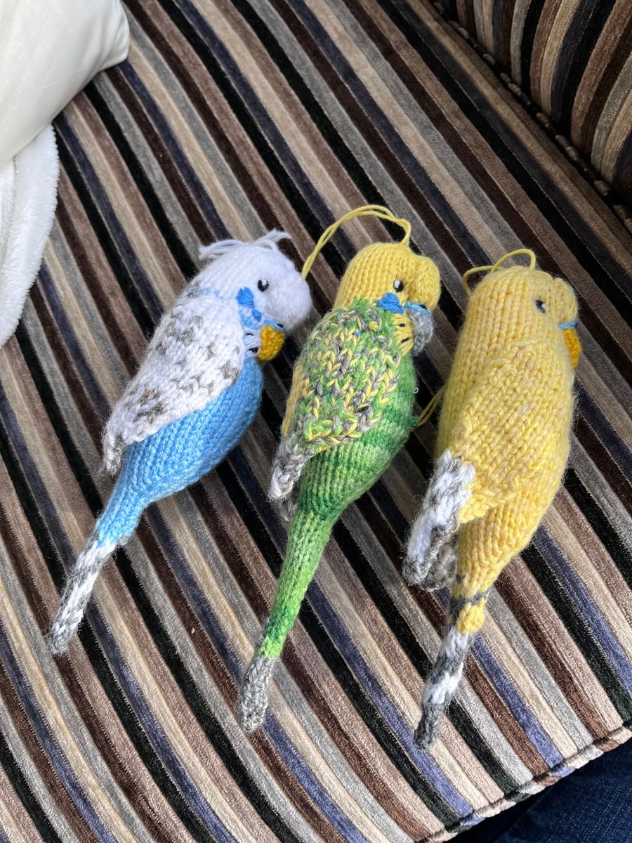 Budgies hand knit customised