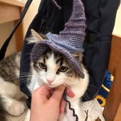 Witch crochet