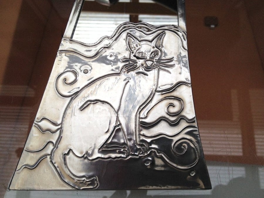 Mirror featuring a Siamese cat.