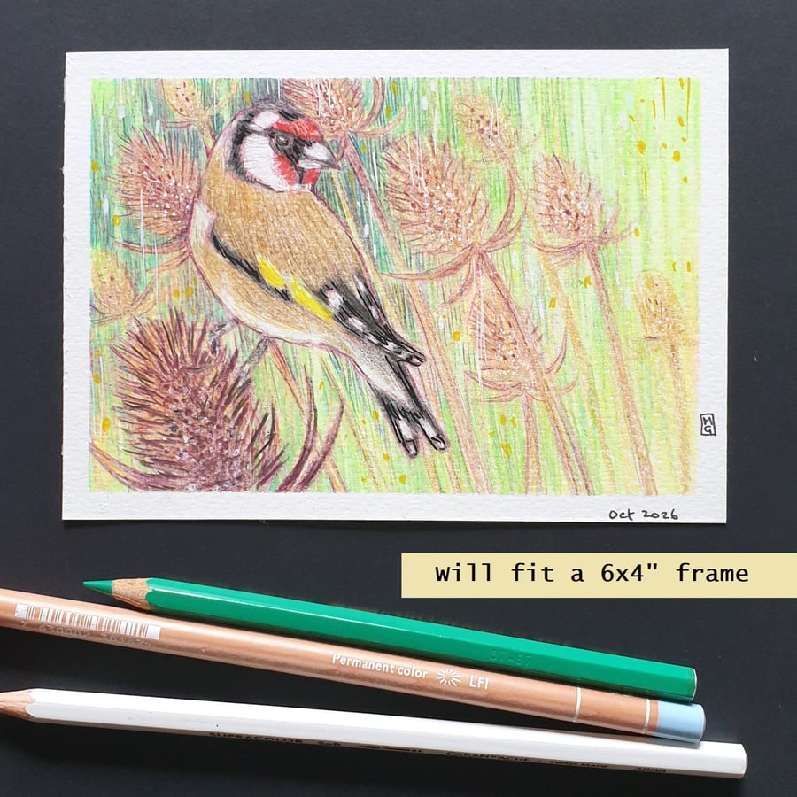 Little Goldfinch with teasels, original drawing, letterbox art gift