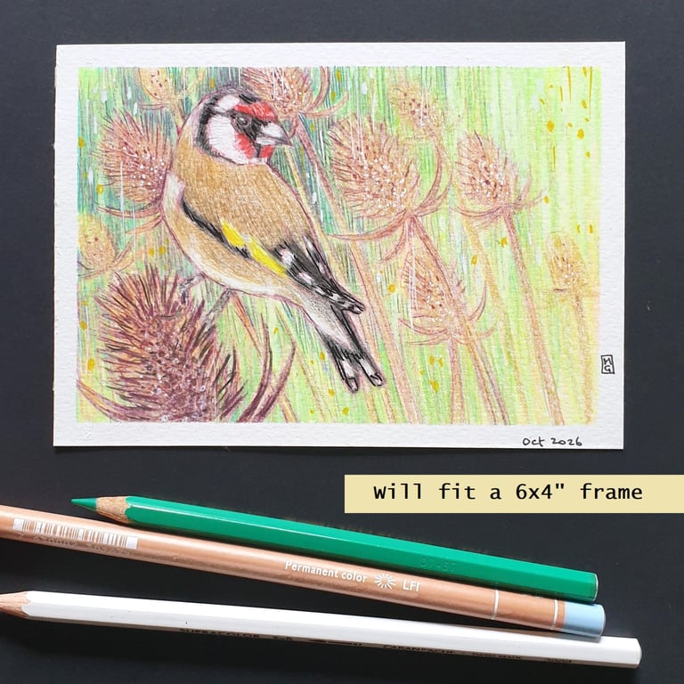 Little Goldfinch with teasels, original drawing, letterbox art gift