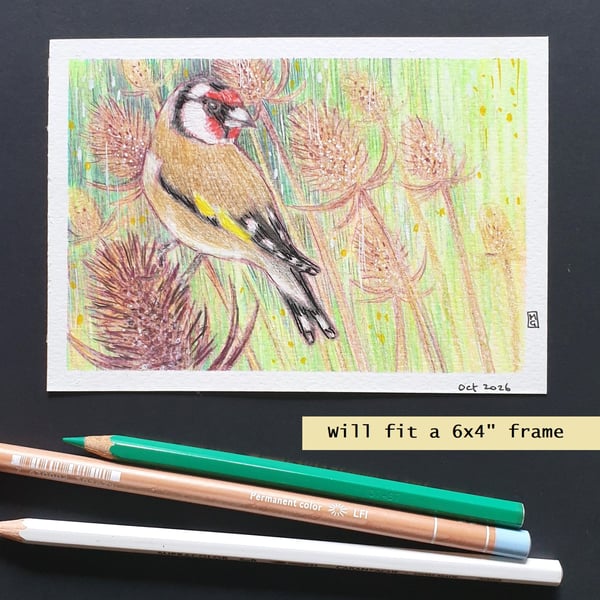 Little Goldfinch with teasels, original drawing, letterbox art gift