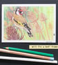 Little Goldfinch with teasels, original drawing, letterbox art gift