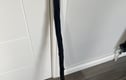 Blackthorn Walking Sticks