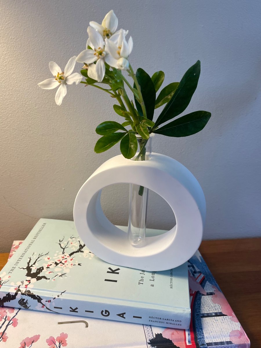 Modern Irregular Eco Resin Vase - Minimalist Bud Vase, Reed Diffuser Holder