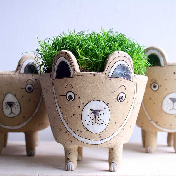 Spotty bear planter-brown bear plant pot