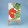 Sale Price. Nasturtium Flower ACEO Painting