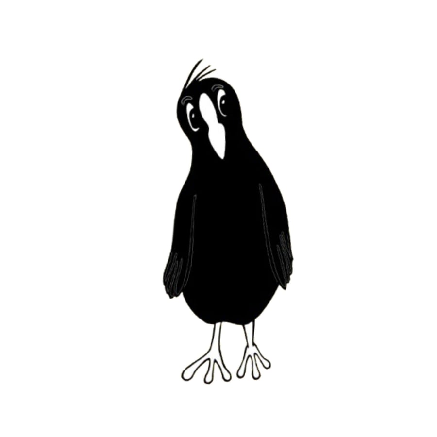 Coot Cards