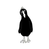 Coot Cards