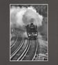 CJ222 - Storming the bend - Image 2