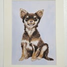 Original painting of a Chihuahua 