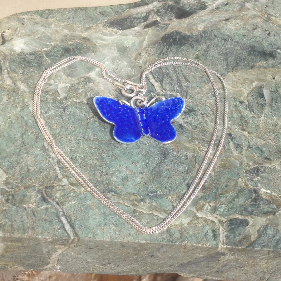 Mazarine blue silver butterfly