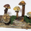 Pretty mushroom log made from re-cycled wood with driftwood and limpet shells