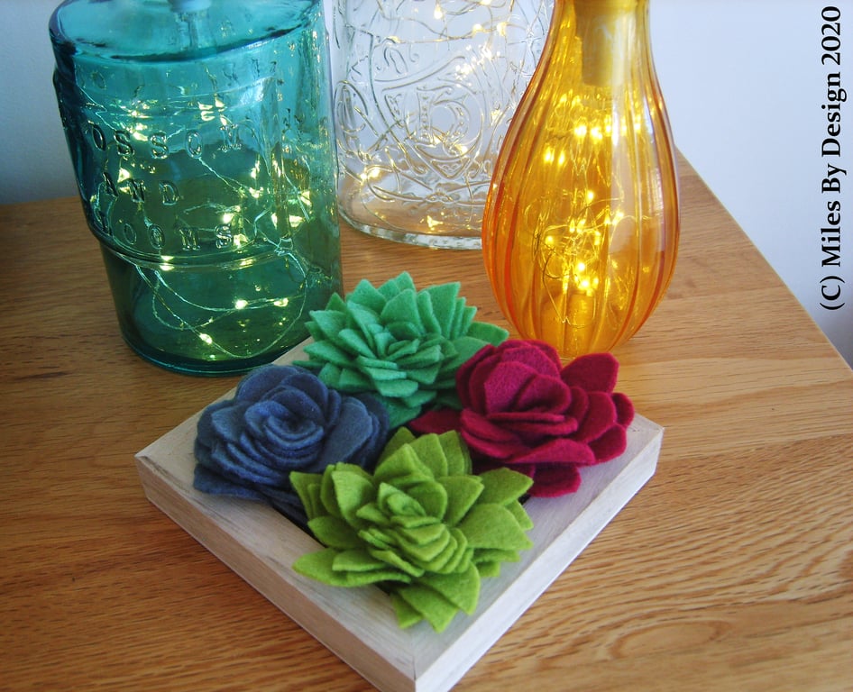 Felt Succulent Display Box