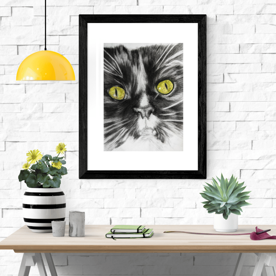 Maine Coon cat, cat art, monochrome, wall print, wall art, tuxedo cat