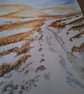 Snow winter path  - Image 3