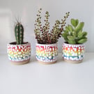 Small Ceramic Rainbow Succulent Planter with Crawl Glaze - Gay, Pride, LGBTQ