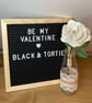 Harry Potter Rose - Image 3