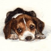 Artistic Originals by Christine Williams