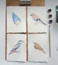 Original Watercolour Jay Painting Unframed - Image 5