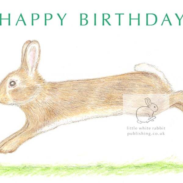 Little Wild Rabbit Jumping - Birthday Card