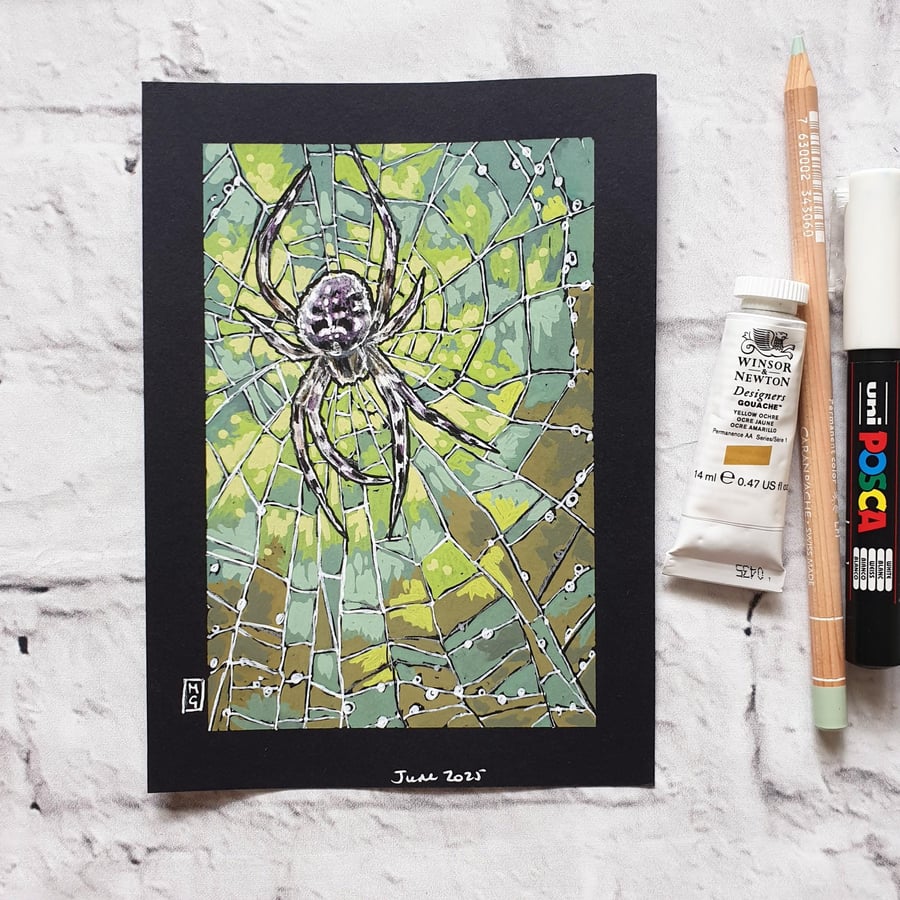 Orb Weaver Spider drawing, original spider artwork