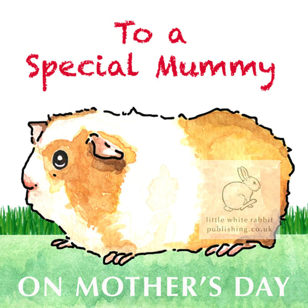 Samantha the Guinea Pig - Mother's Day Card