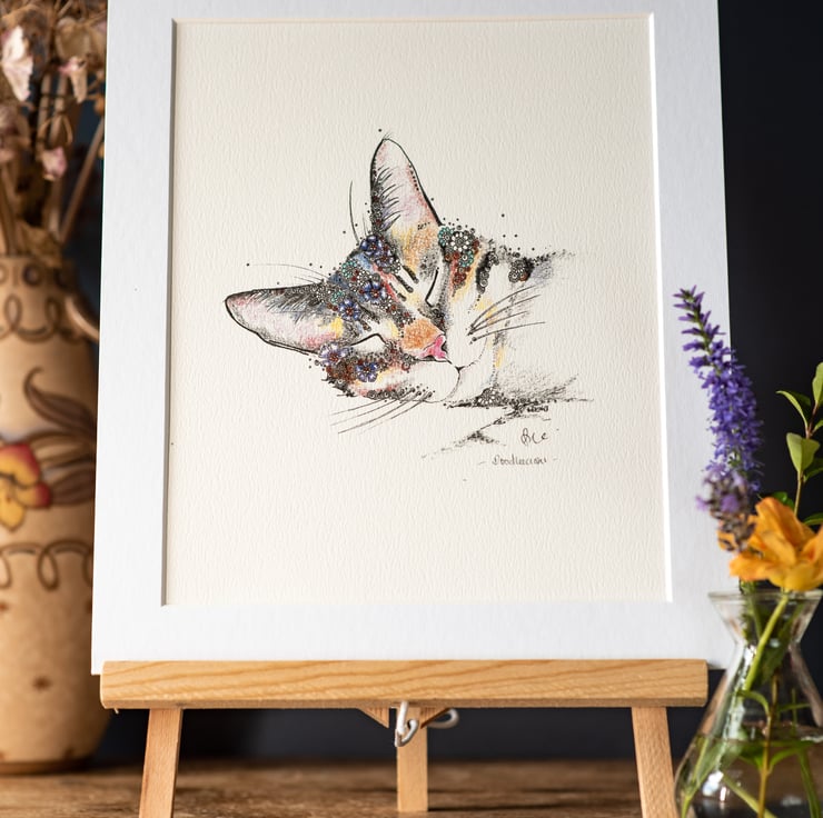 Gifts for Cat Lovers