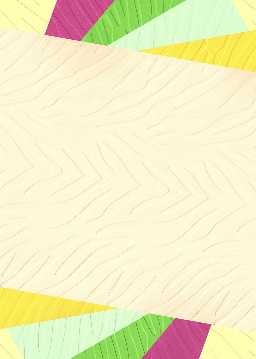 Embossed Card & Paper. 10 Sheets. A4. Assorted Colours. Animal Print (18)