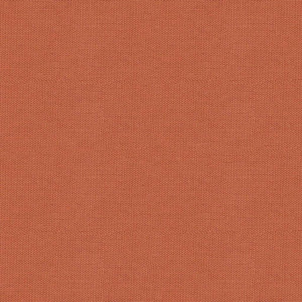 GINGER Plain Dashwood Studio POP cotton fabric