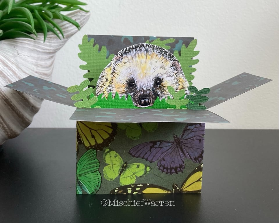 Hedgehog Card. Blank or Personalised 3D card for any occasion. Gift card holder.